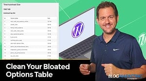 How To Clean Your Options Table For Better WordPress Performance